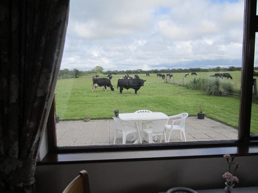 Greenfields Farmhouse Villa Ballylongford Oda fotoğraf